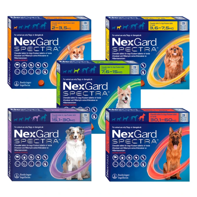 Nexgard Spectra 30,1-60kg x 3 comp.