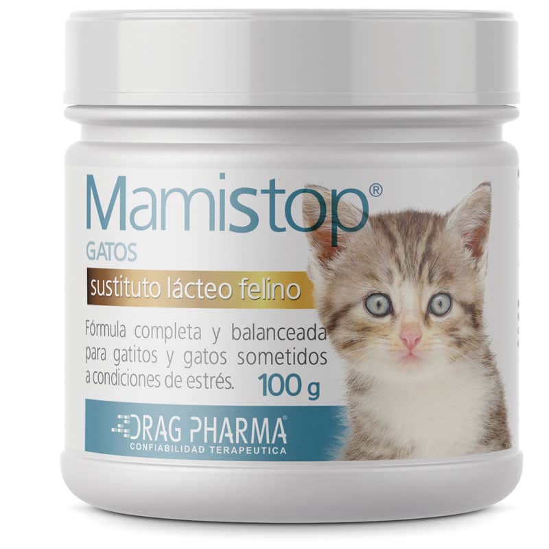 Mamistop Gato