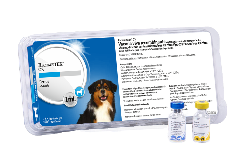 Recombitek C6 25 dosis x 1 ml.