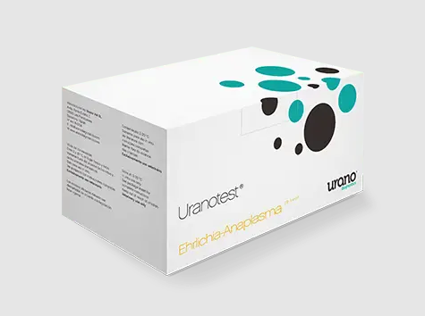 Urano Test Ehrlichia - Anaplasma x5