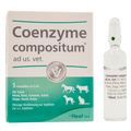 Coenzym x 5 ampollas