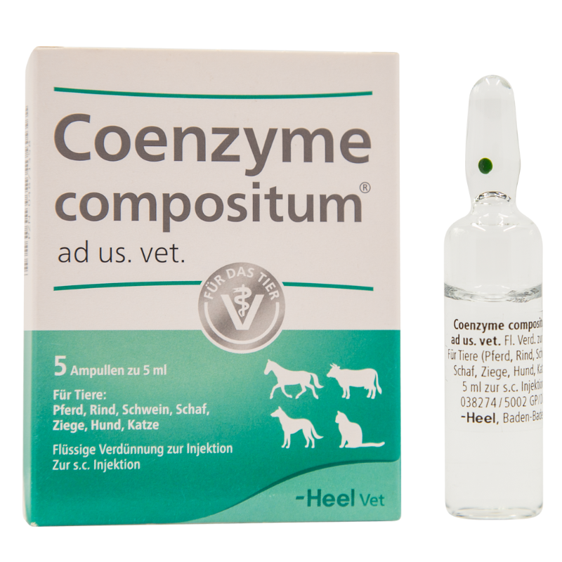Coenzym x 5 ampollas