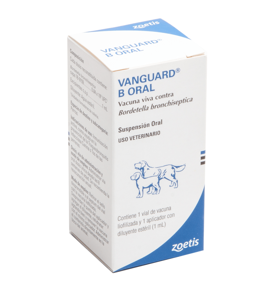 Vanguard B oral X 1