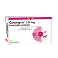 Clavaseptin 250 mg. X 10 comp.