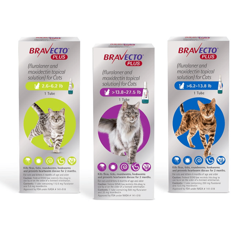 Bravecto Plus Gato 6,25 a 12,5kg