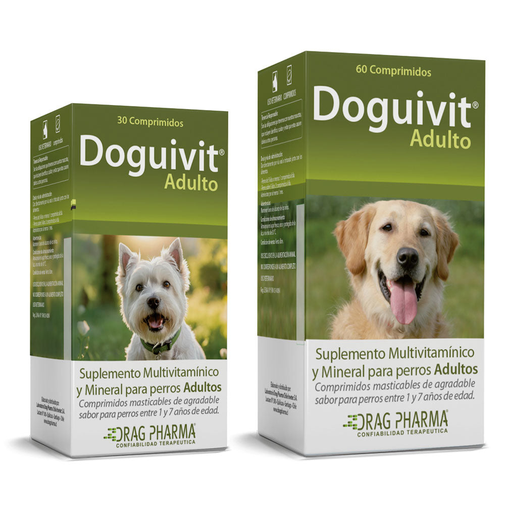 Doguivit Adulto