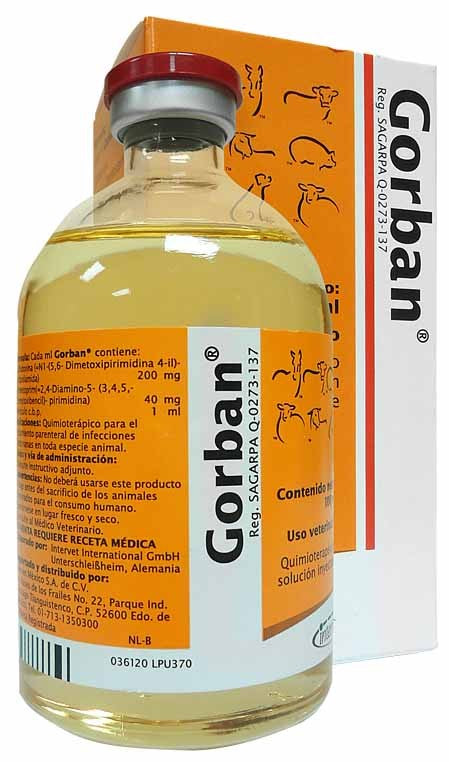 Gorban 100ml