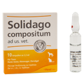 Solidago x 10 ampollas