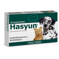 Hasyun Comp