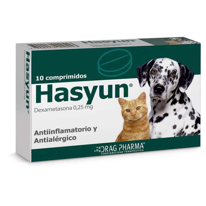 Hasyun Comp