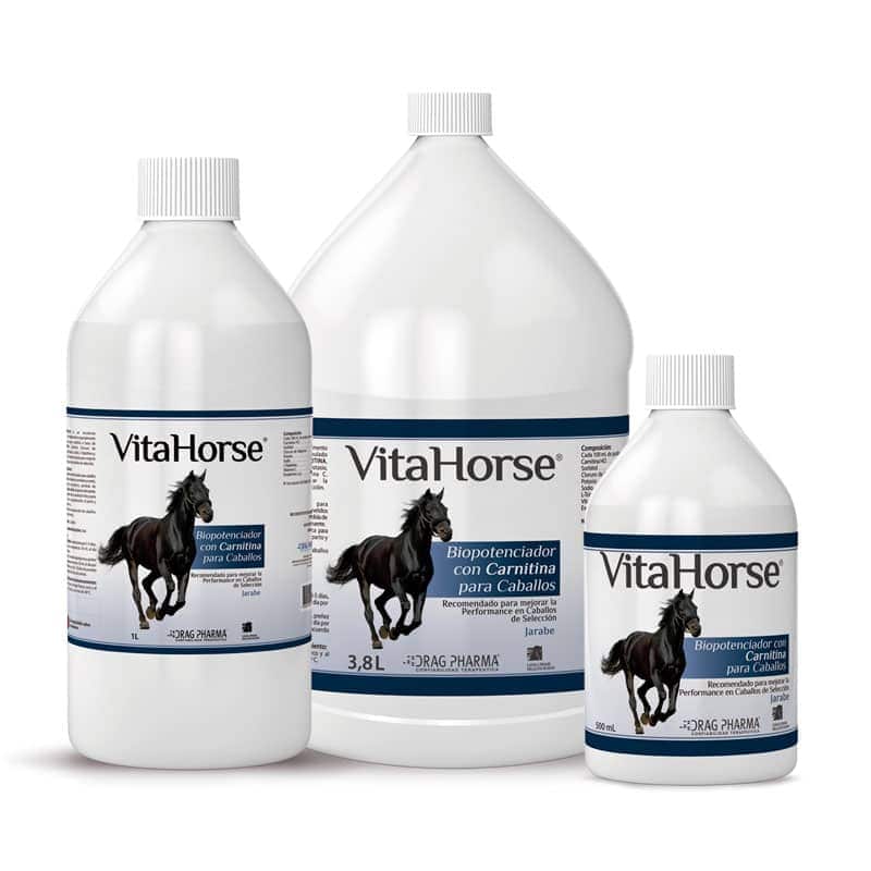 Vita Horse