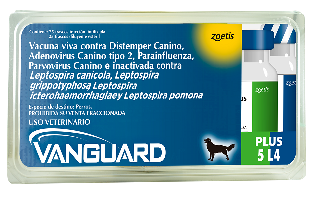 Vanguard Plus L4 x25