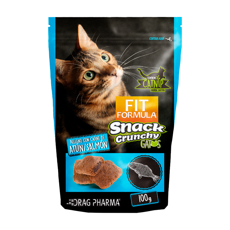 Fit  crunchy gato 100 gr.
