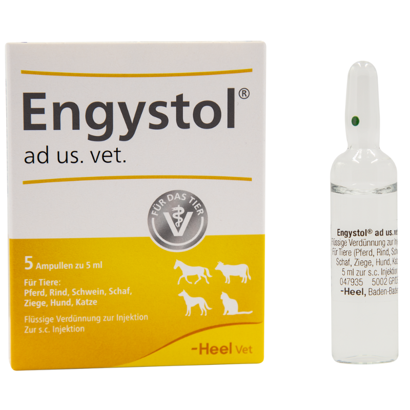 Engystol AD 5amp 5 ml.