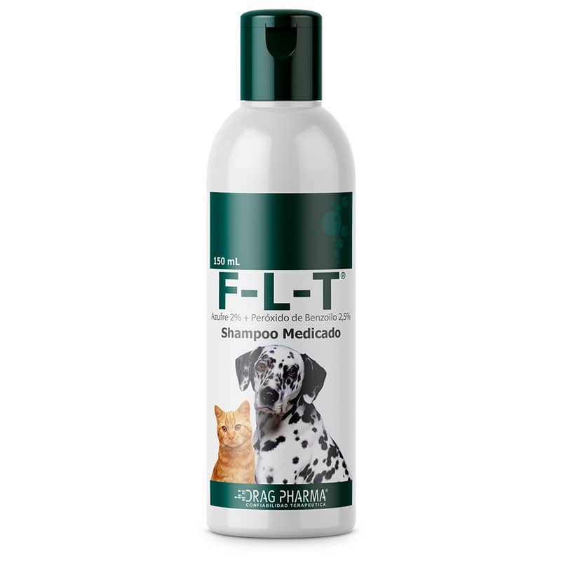 F-L-T Shampoo