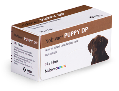 Nobivac Puppy DP x 10 dosis